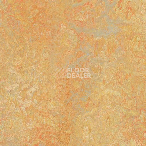 Линолеум Forbo Marmoleum Marbled Vivace 3411-341135 sunny day фото 1 | FLOORDEALER